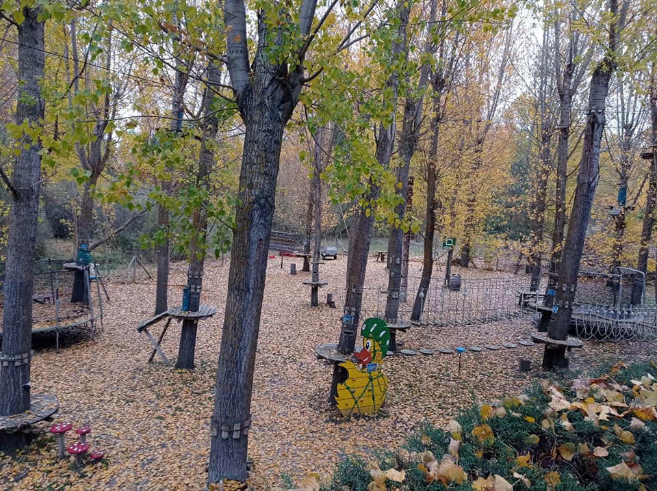 122778285_10223534874341462_3549788085244315417_n